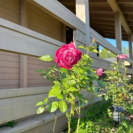 Dom Prázdninový dům *