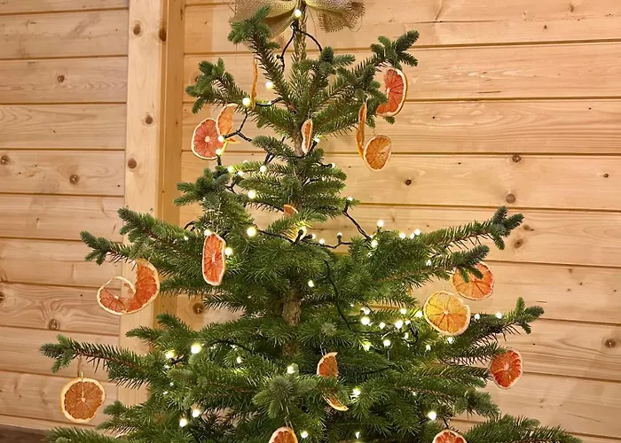 Tatil Evi Dom Miłomłyn